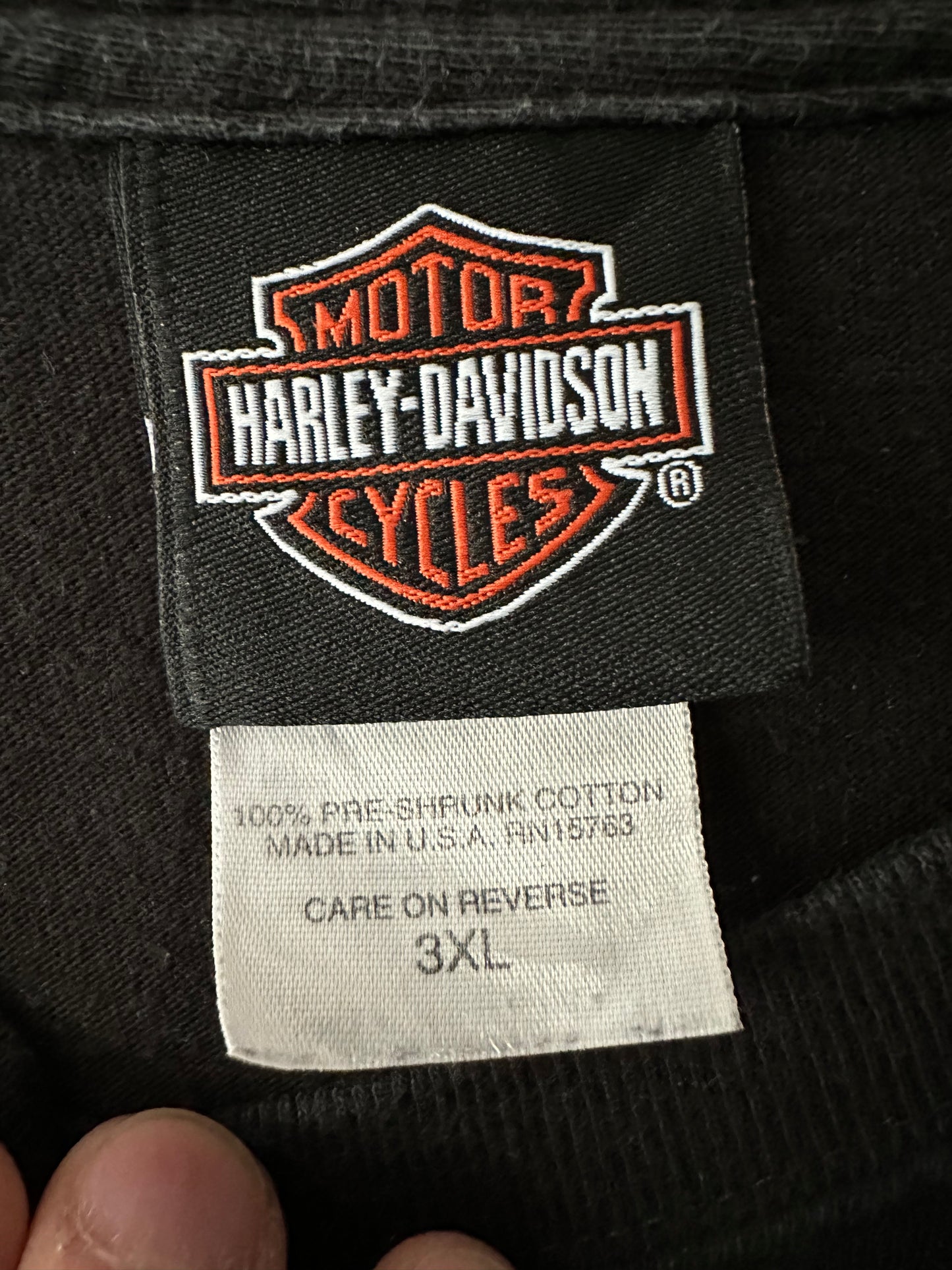 Vintage 00’ Harley Davidson Flame Tee