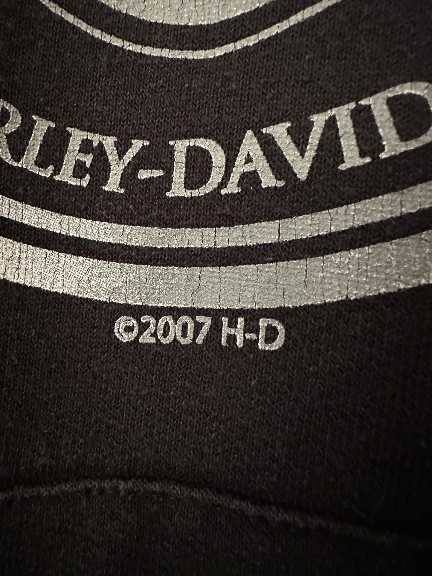 Vintage 00’ Harley Davidson Flame Logo Hoodie